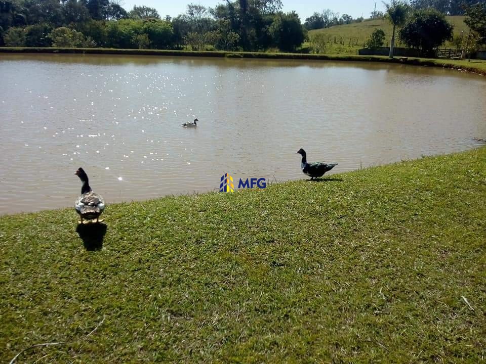Imagem da propriedade 23594 6