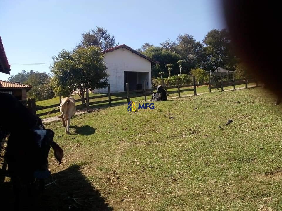 Imagem da propriedade 23594 13