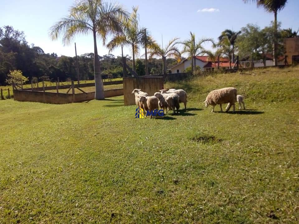 Imagem da propriedade 23594 18
