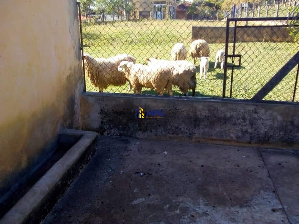 Imagem da propriedade 23594 32
